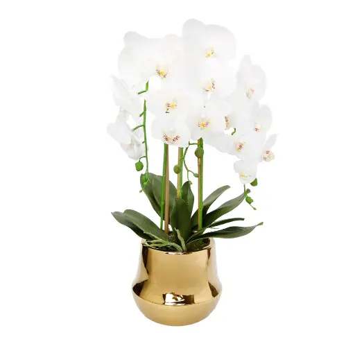 [DL01065] 21X14" ORCHID IN GOLD VASE